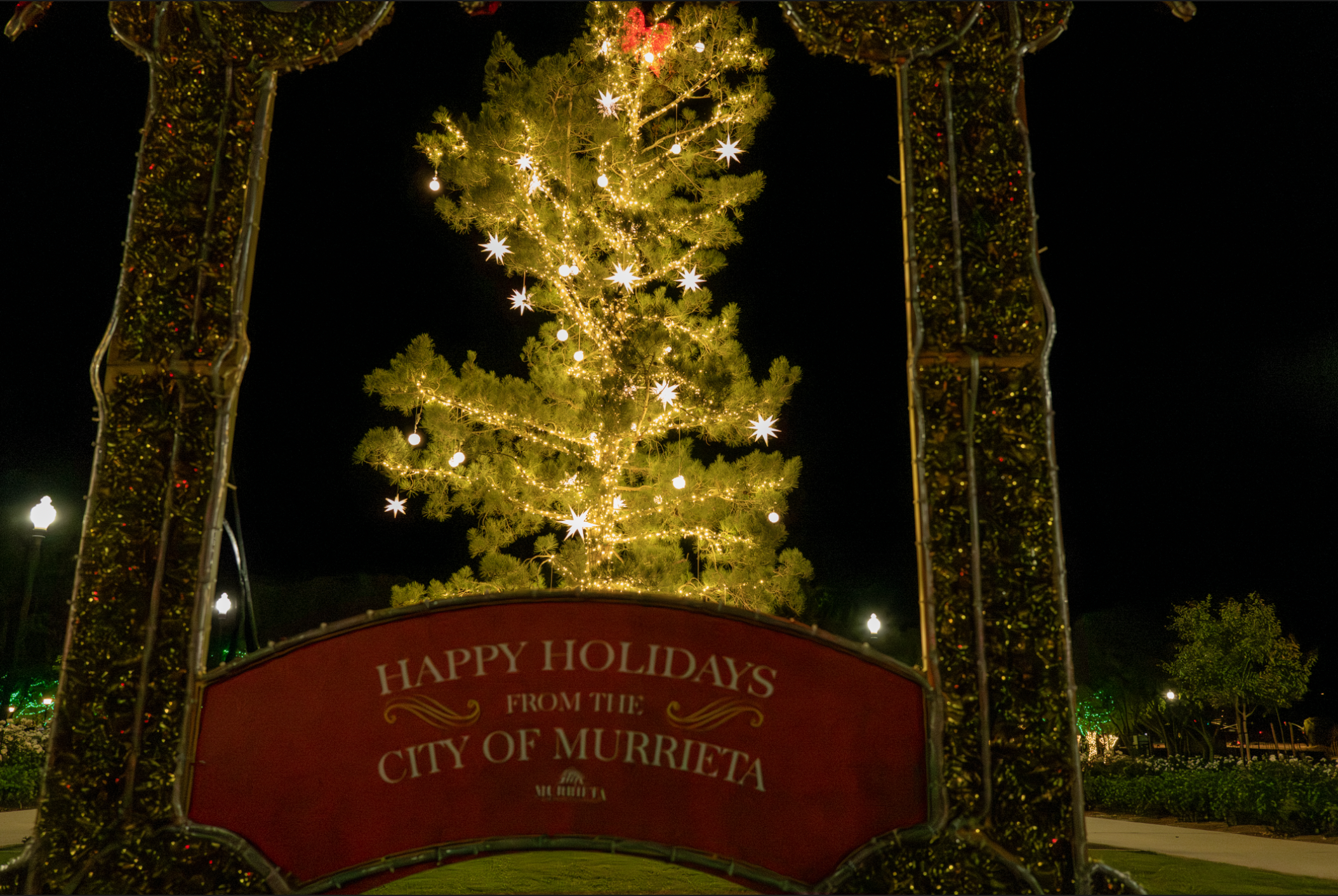 50' Tall Christmas Tree lit with LED lights and stars