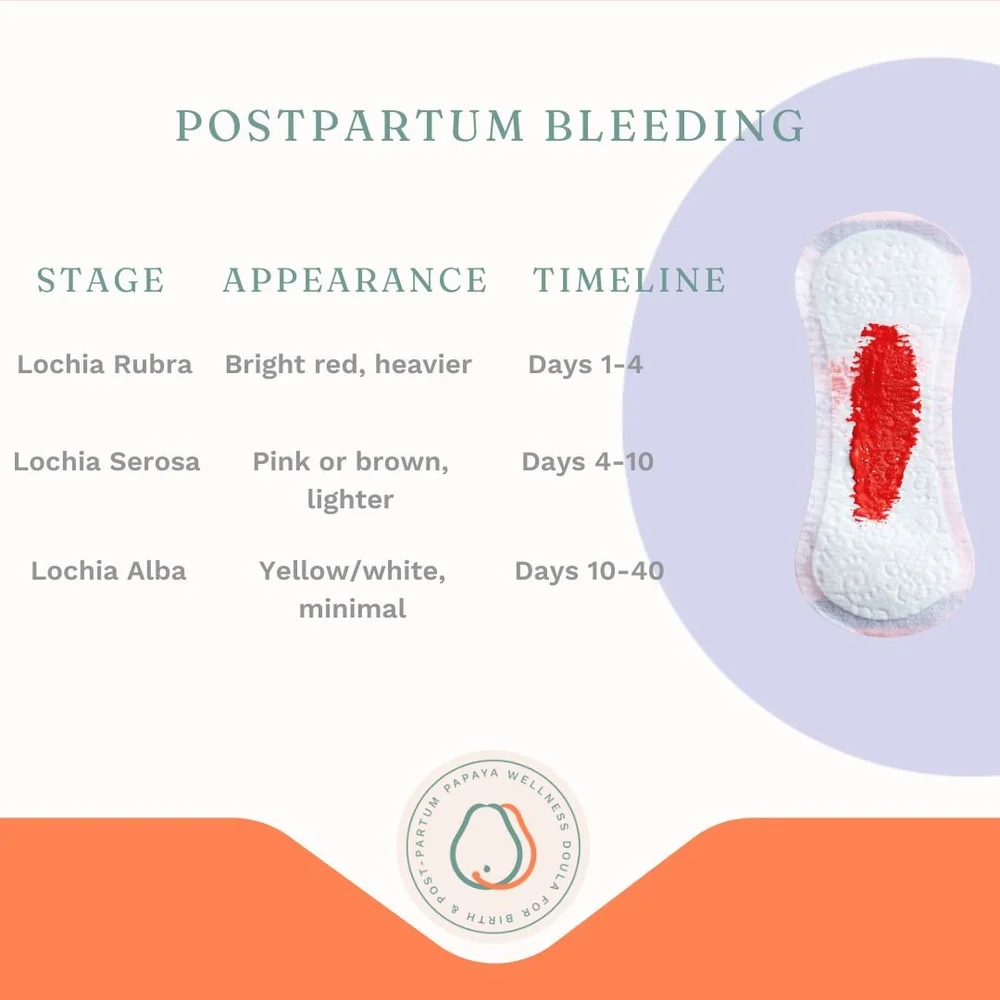 Postpartum Bleeding (Lochia) A Doula’s Guide for New Mums in Singapore ...