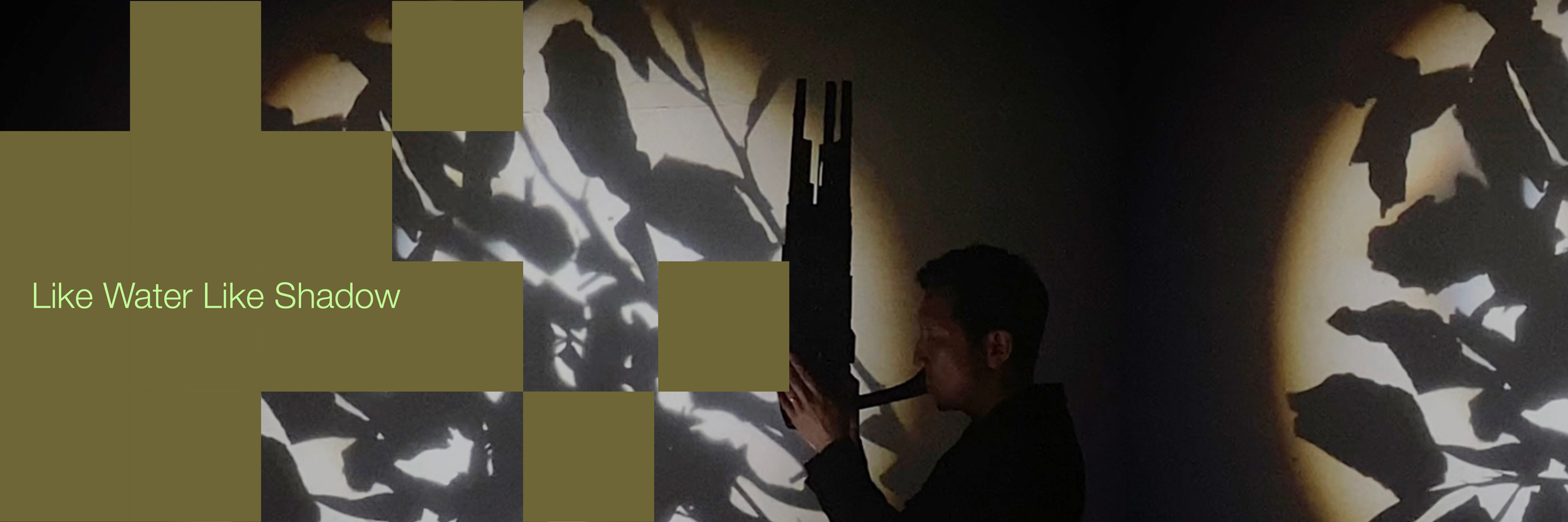 Like Water Like Shadow