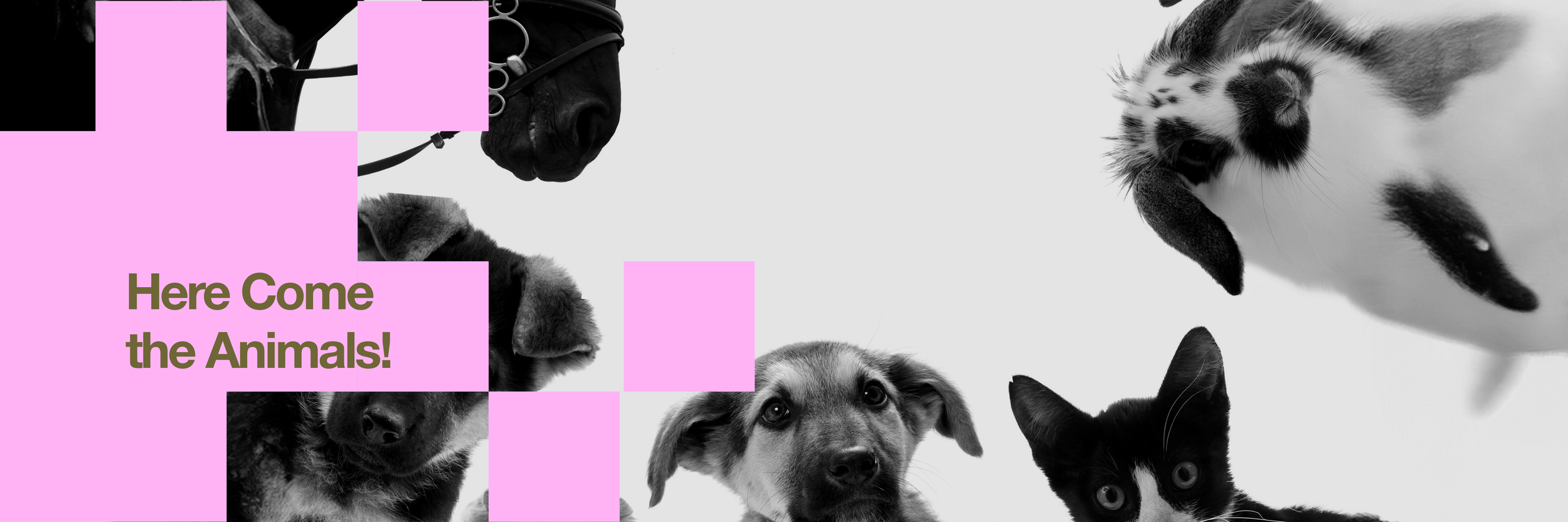 [Sound\Bridges] Here Come the Animals! - Concert (with Cantonese narration)