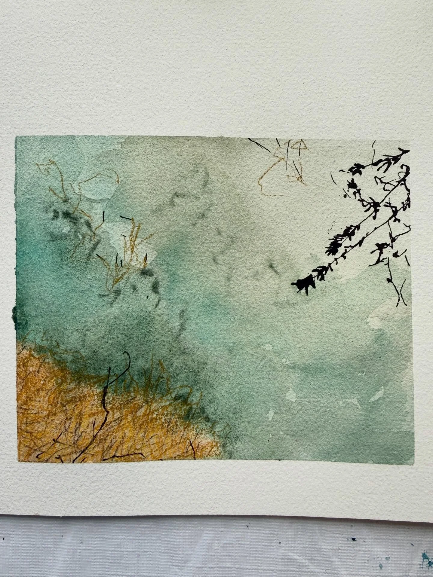 Looking into marsh water! This was a fun one to do. I enjoyed it! 

#marsh #water #coastallife #coastal #watercolor