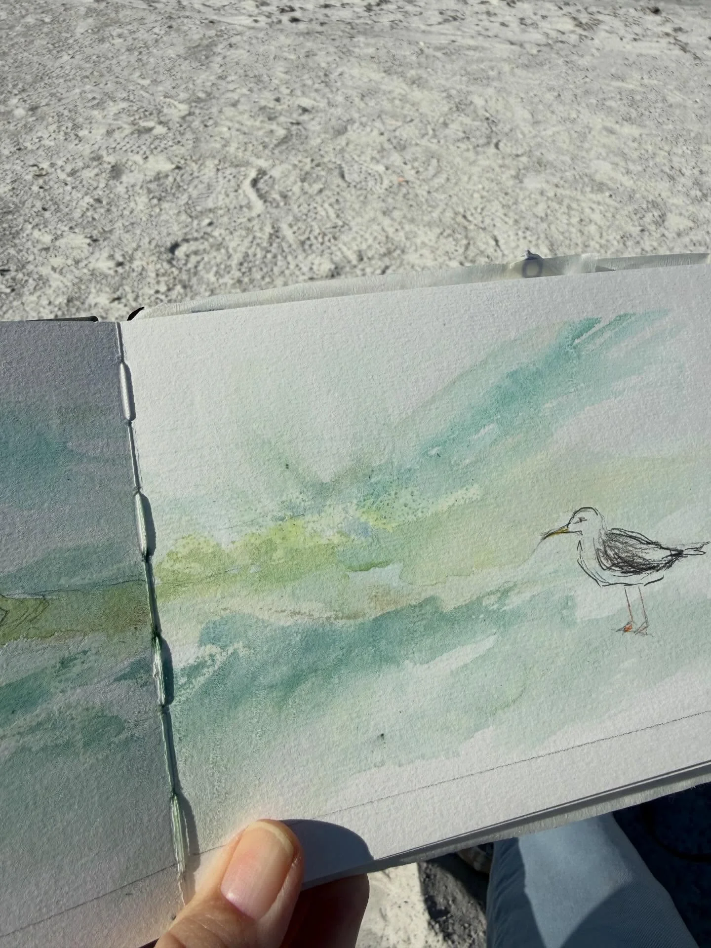 Turn up volume on the video at the end! He was a very sassy seagull! He stood right in front of staring me down for a long time! He squwauked at me, moved closer and didn&rsquo;t take his eyes off me. I felt he was challenging me- so &ldquo;ok&rdquo;