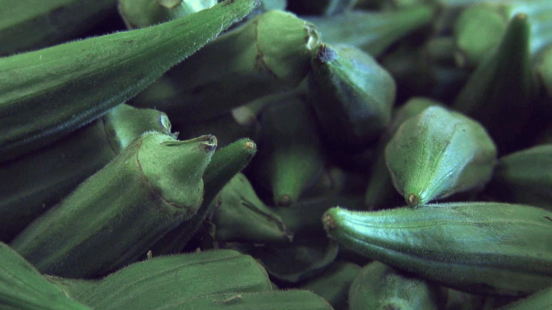 okra.jpeg