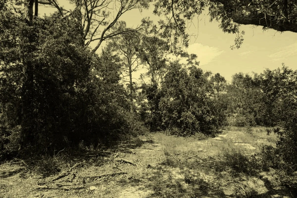 1 WATERFRONT LOT AVAILABLE-Perdido Key Land