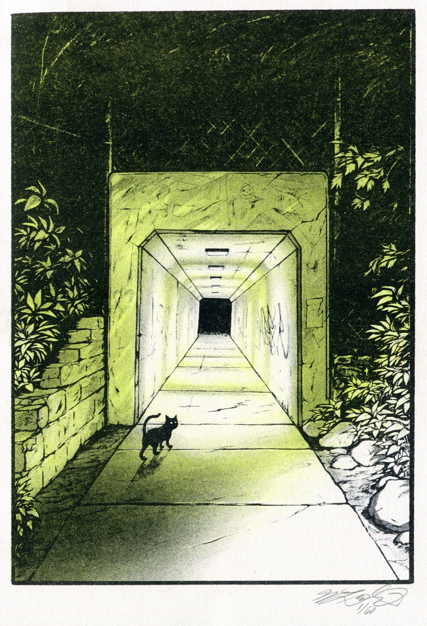 Tunnel Under the Greenway.jpg