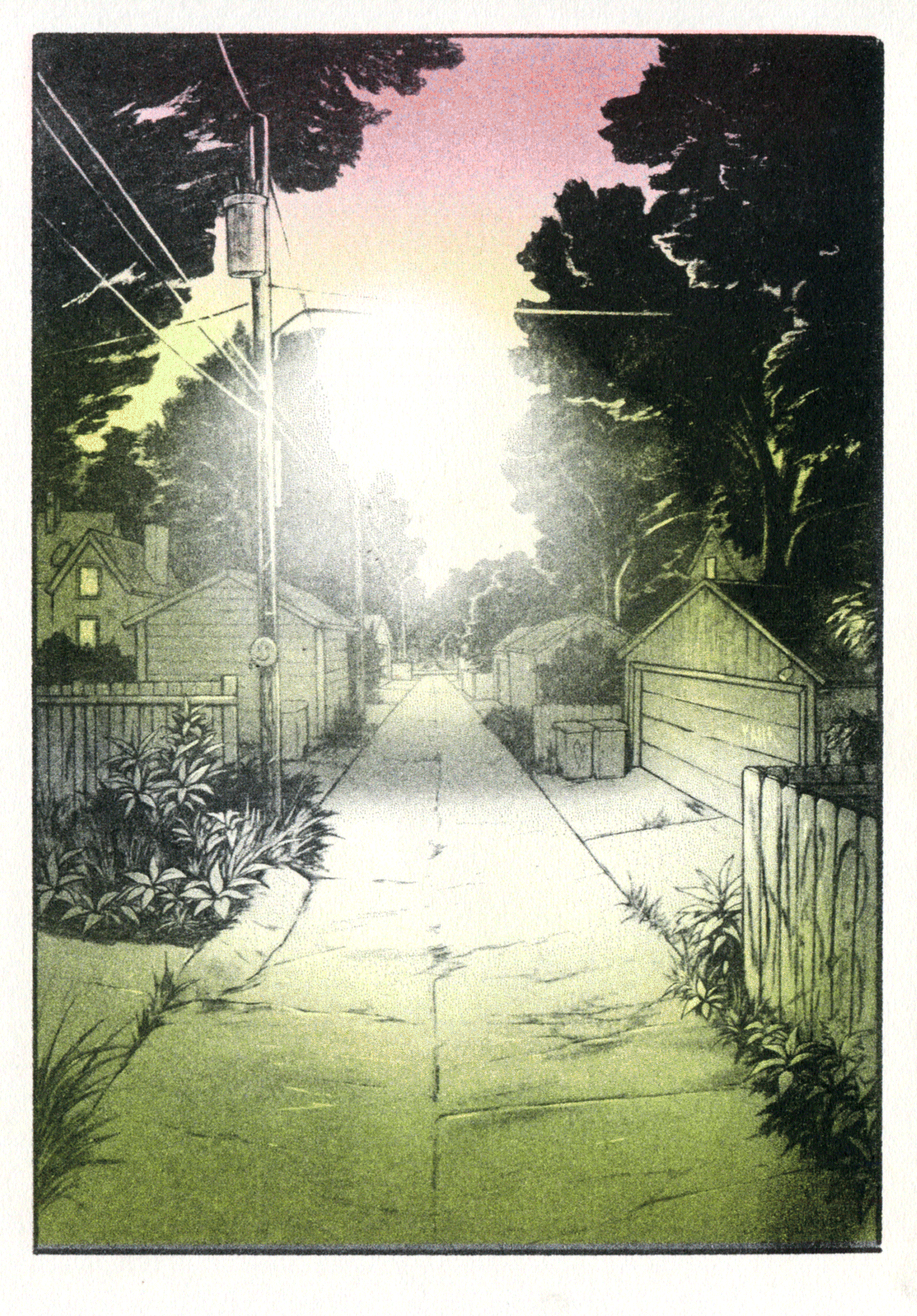 Alley-Riso-2024-Loop.gif