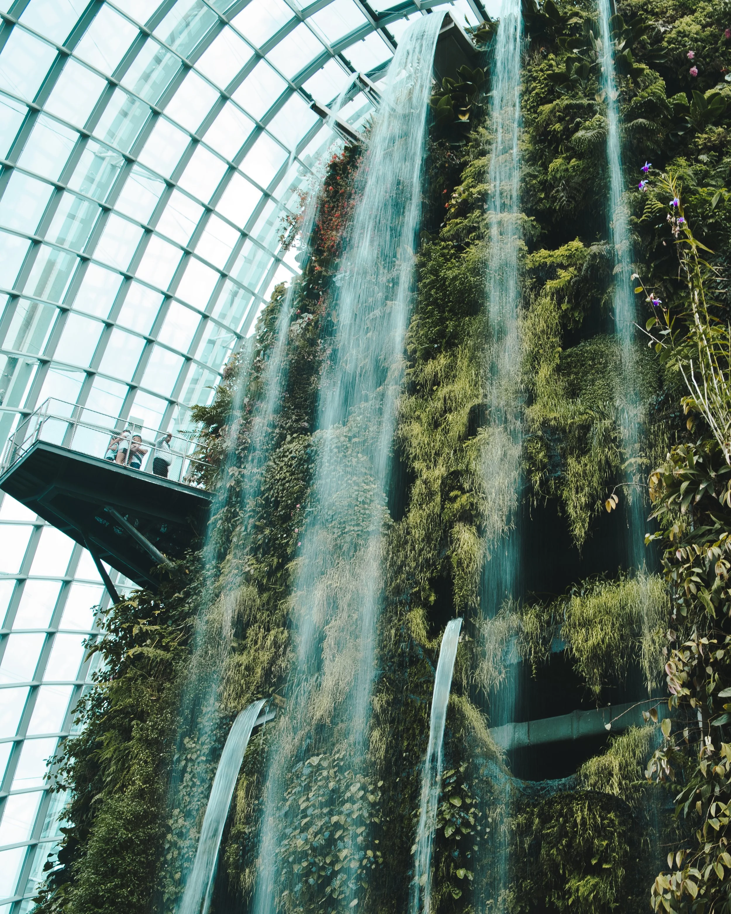 Gardens by the bay in Singapore.