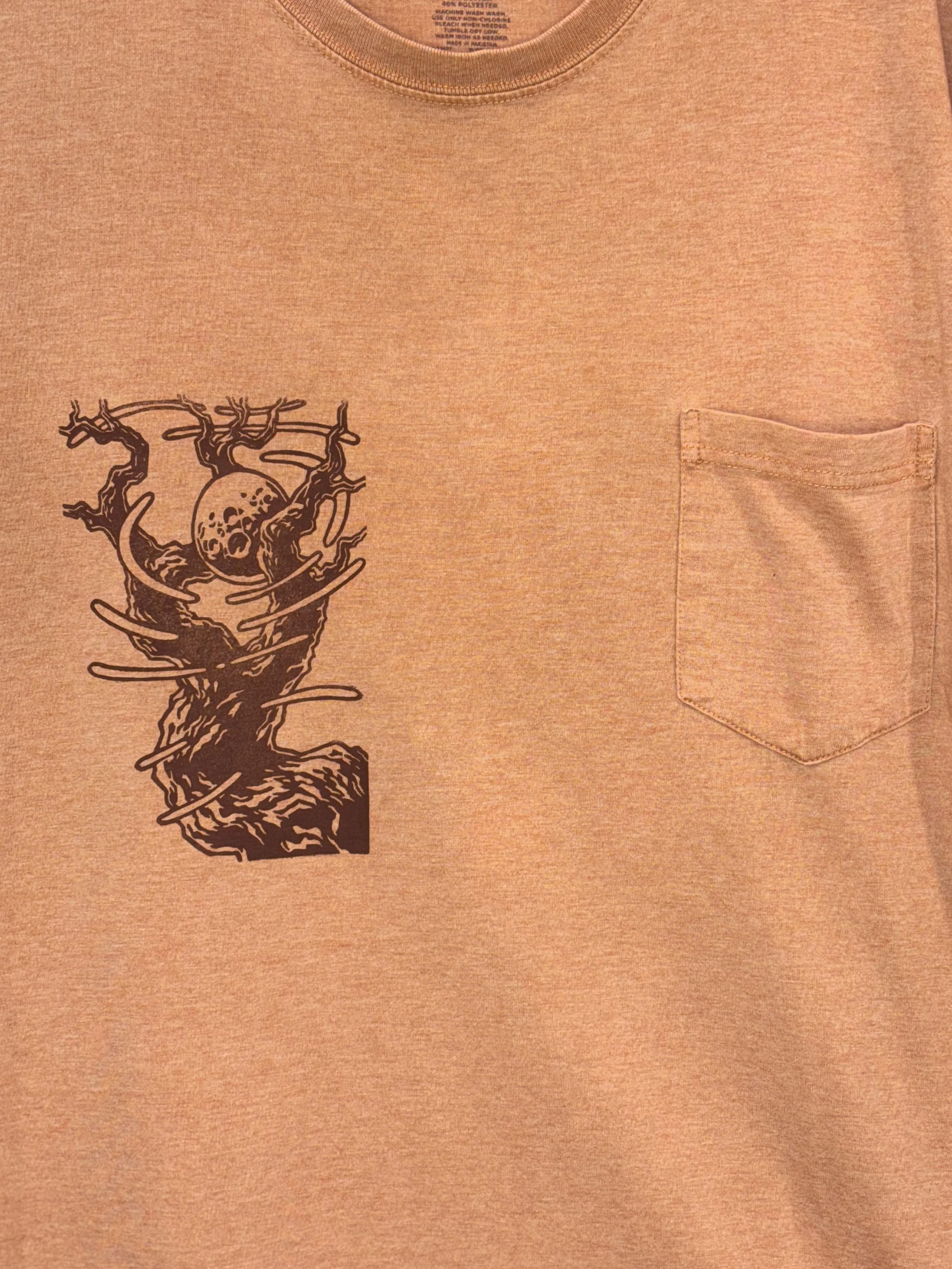 Moon Orange Close.jpg