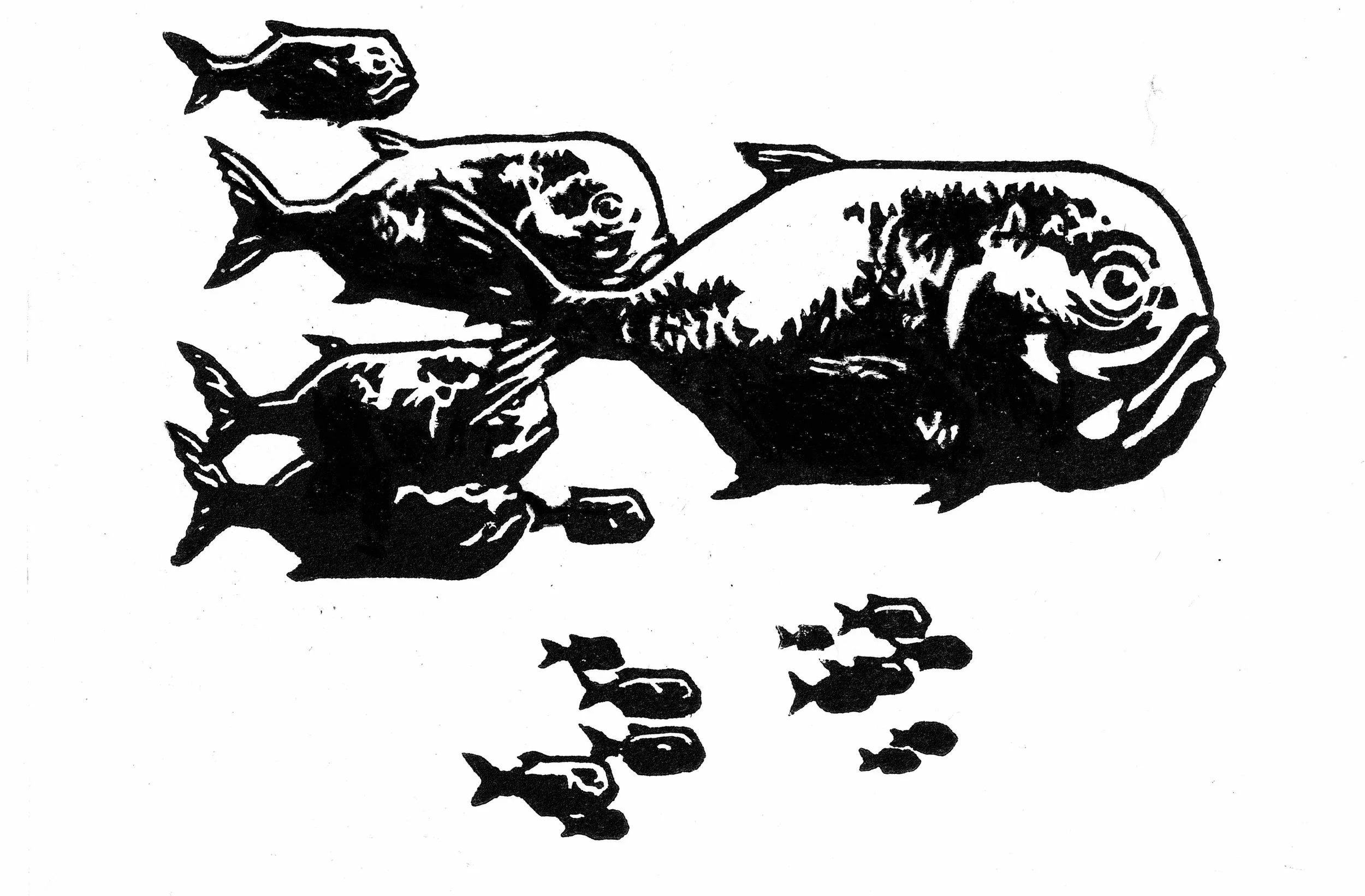 Paper Fish Print.jpeg