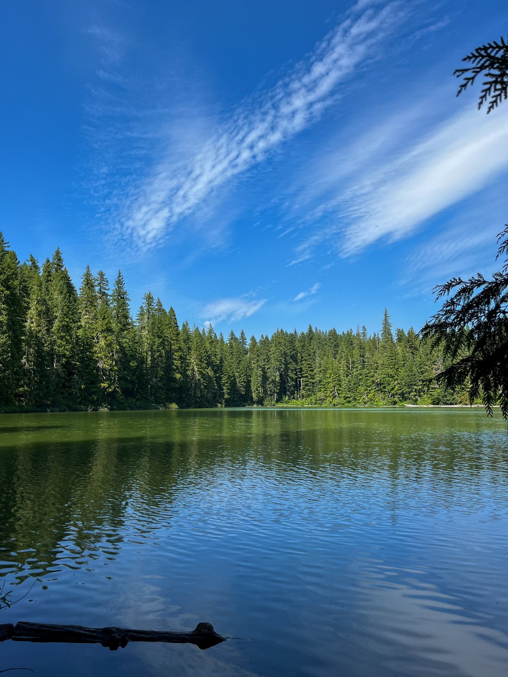 Lower Gordon Lake