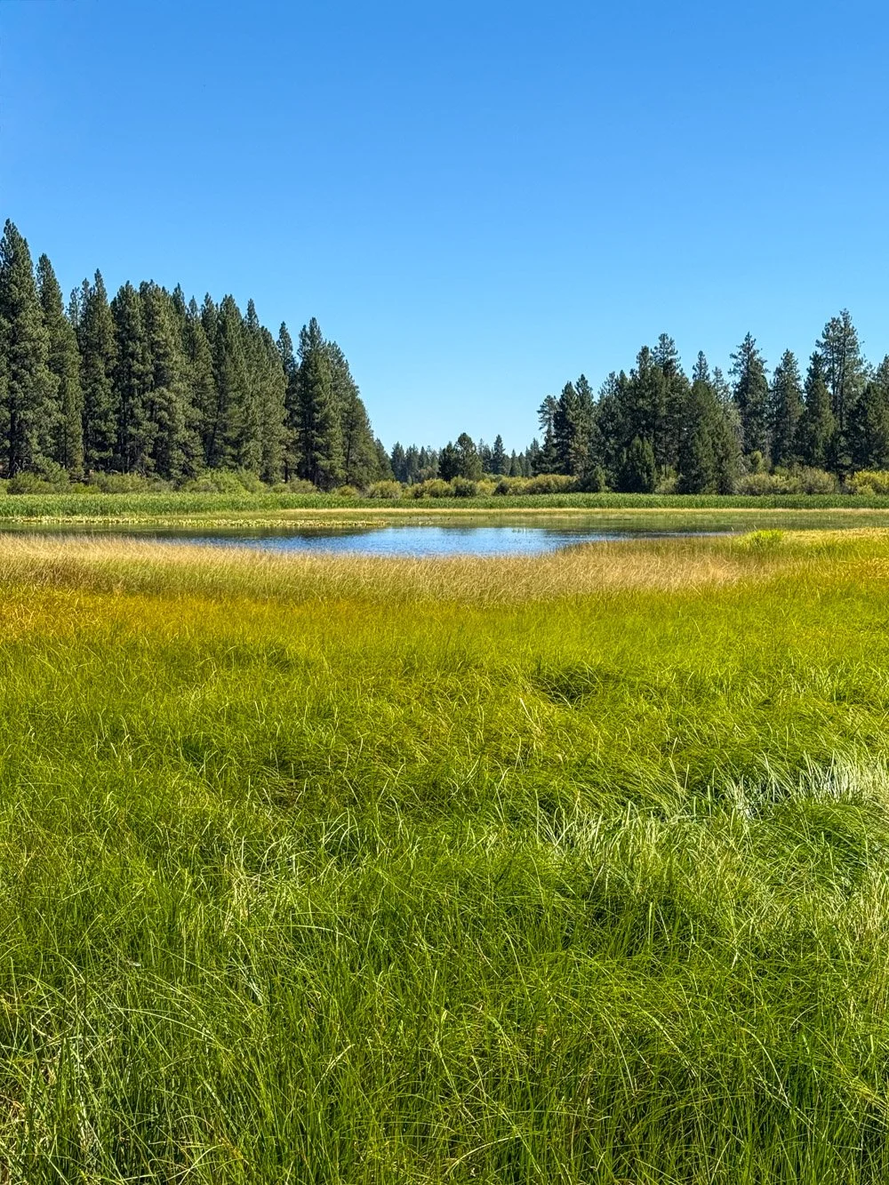 Riverside lake