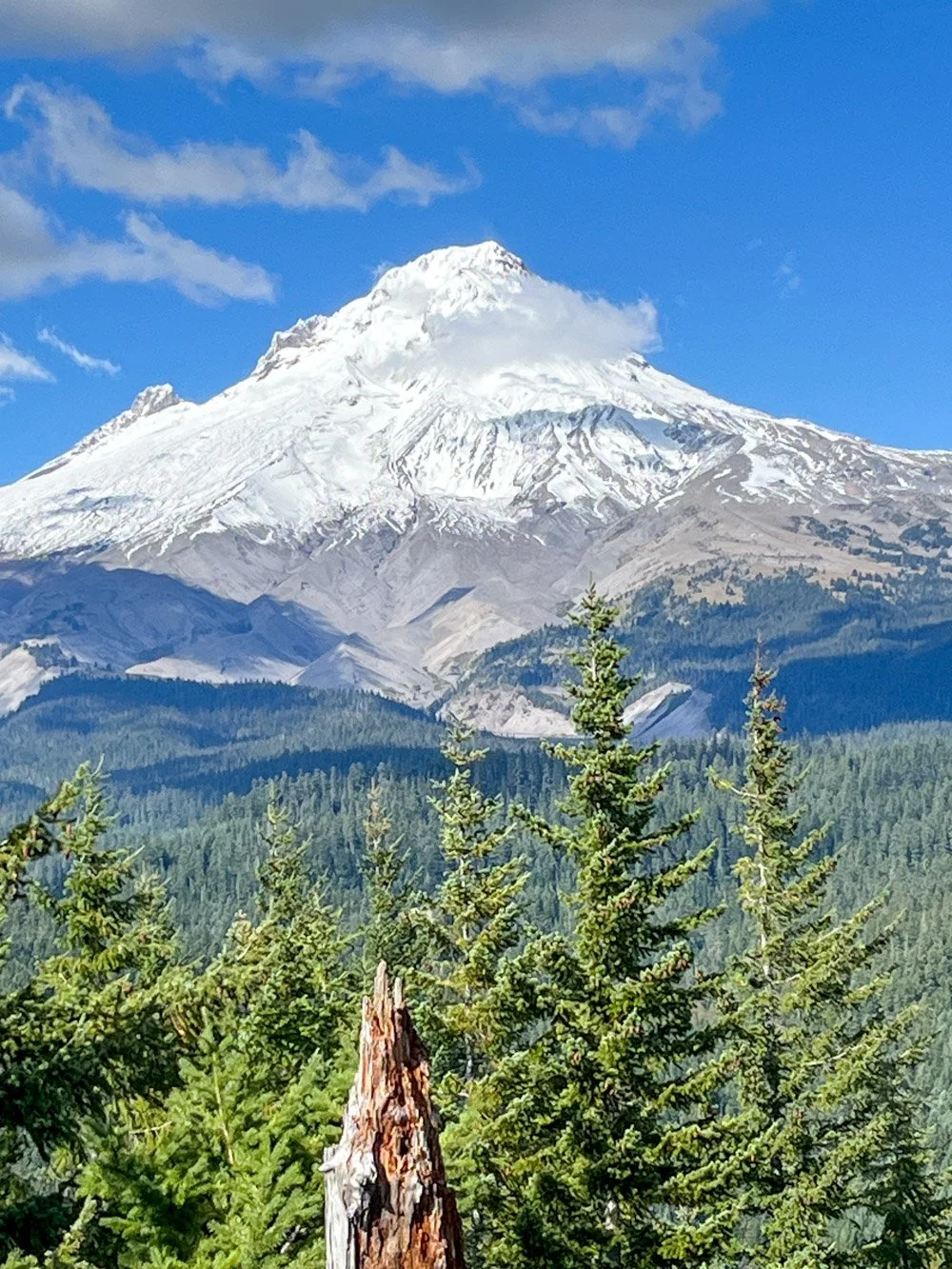 Mount Hood
