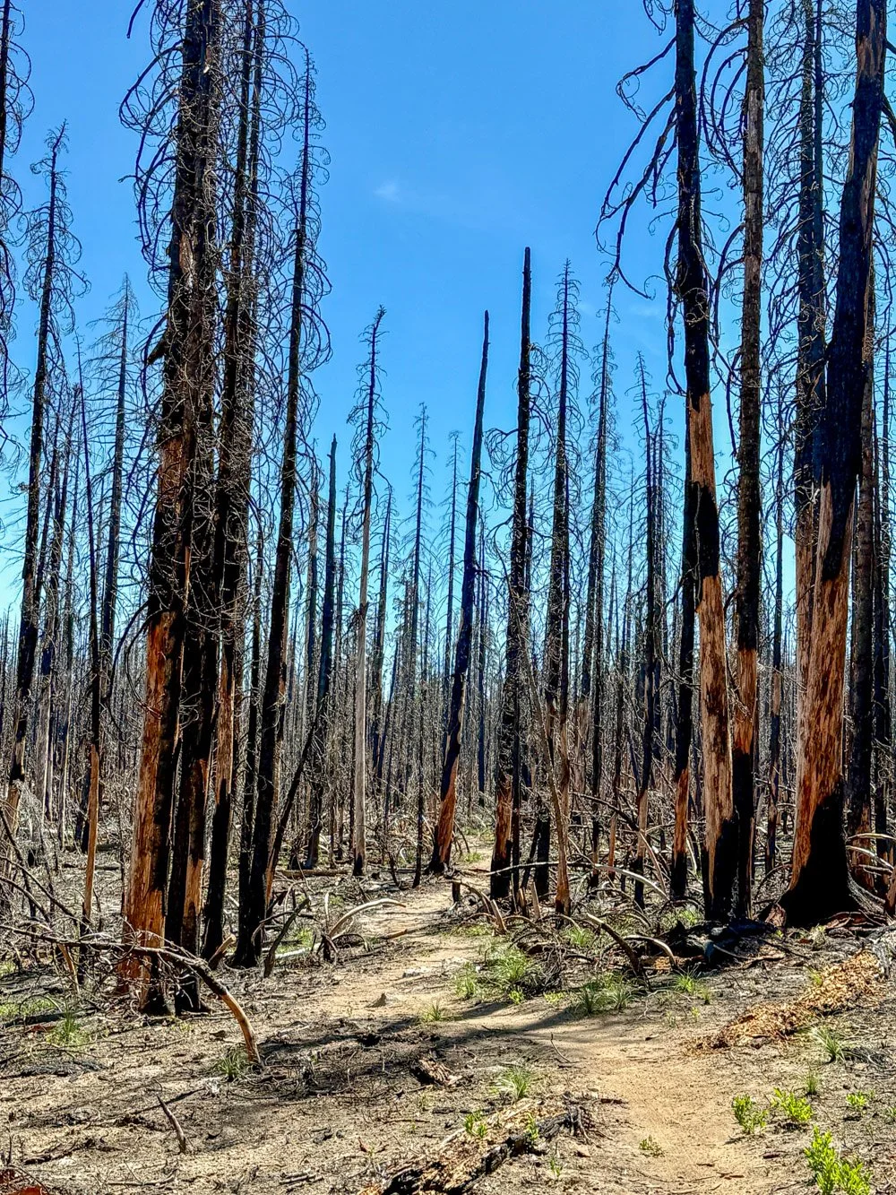 Boulder Fire (2023)