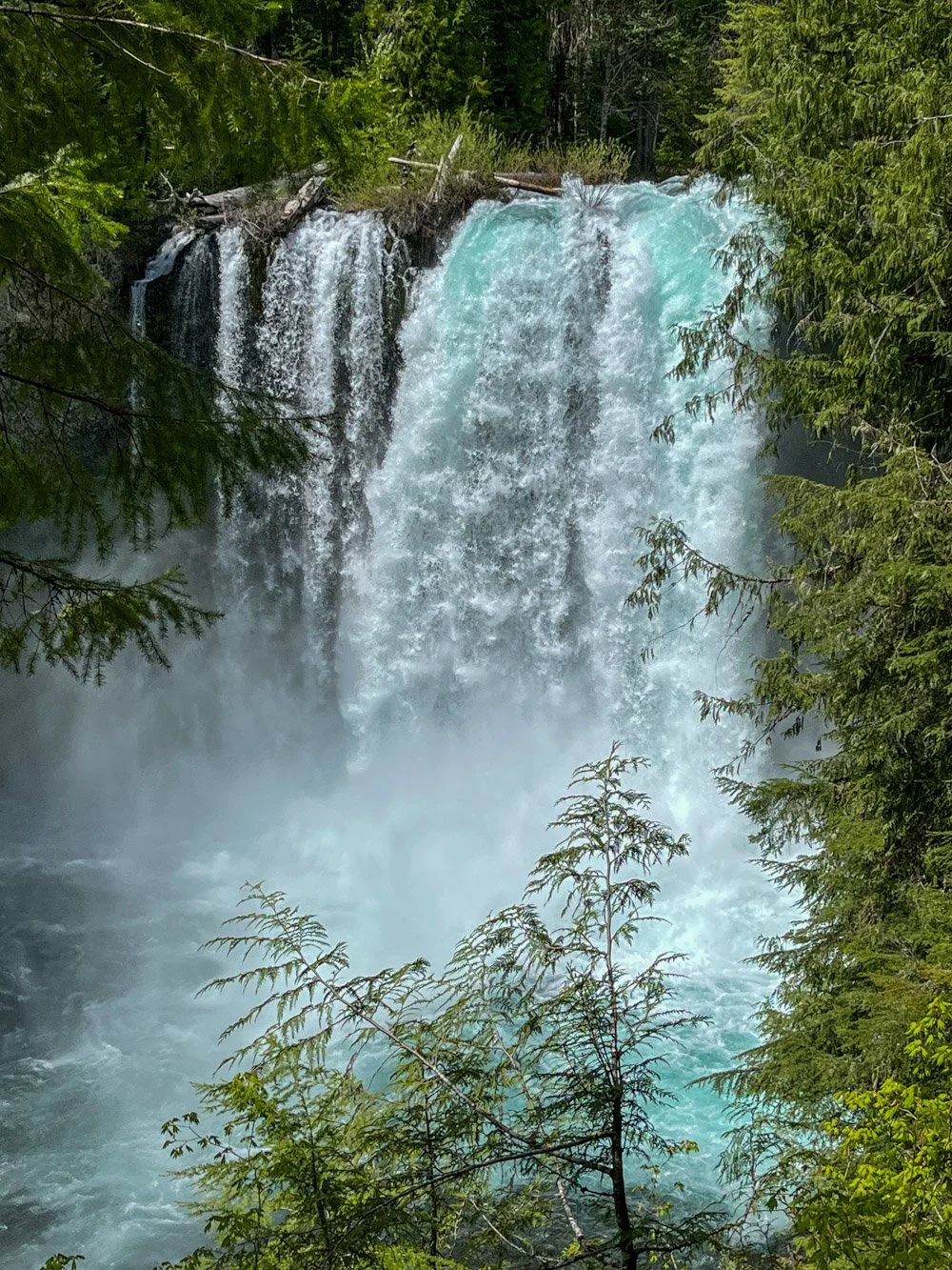 Koosah Falls
