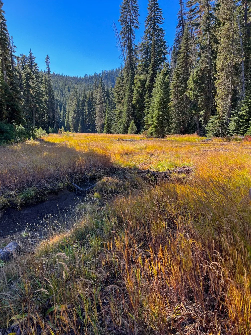 Pothole Meadow