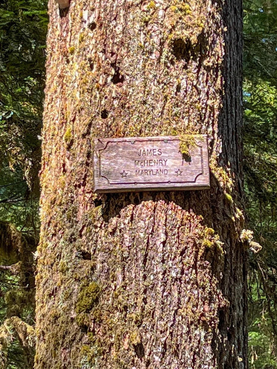 Constitution Grove