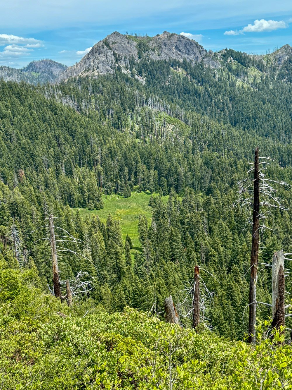 Highrock Mounain and Grasshopper Meadow from Grasshopper Mountain