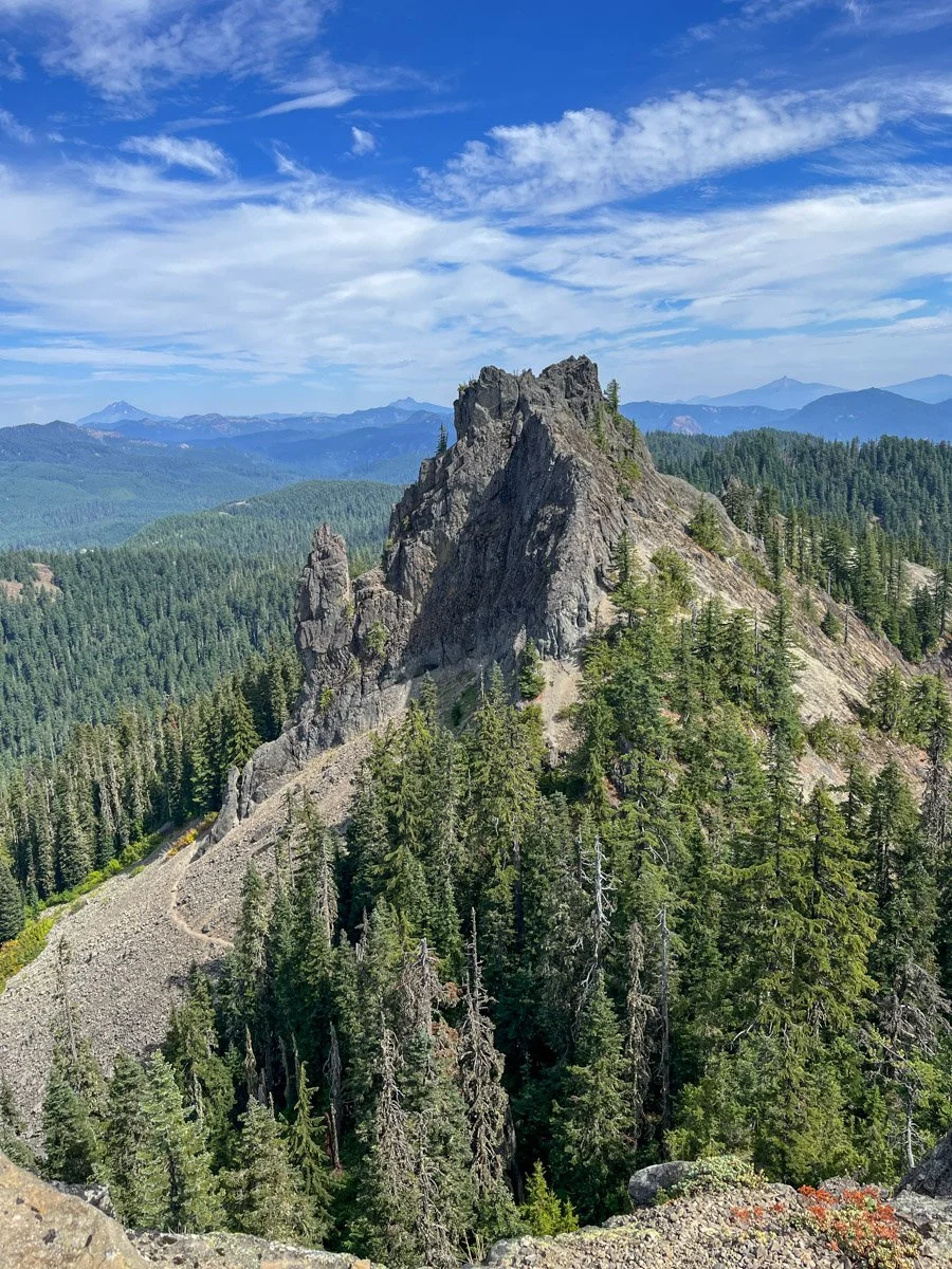 41. Tidbits Mountain