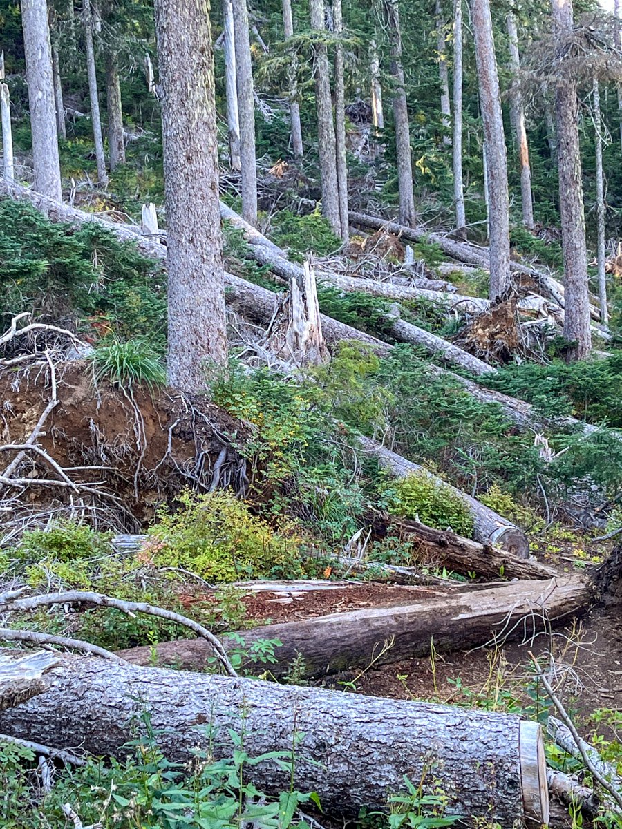 Blowdown