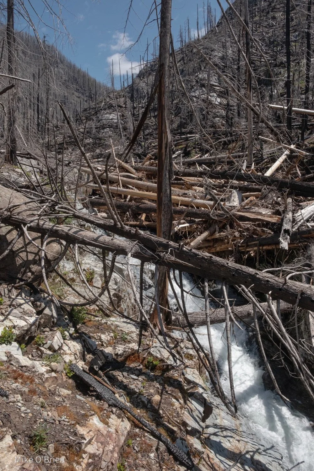 Opal Pool Post-fire Review.jpg