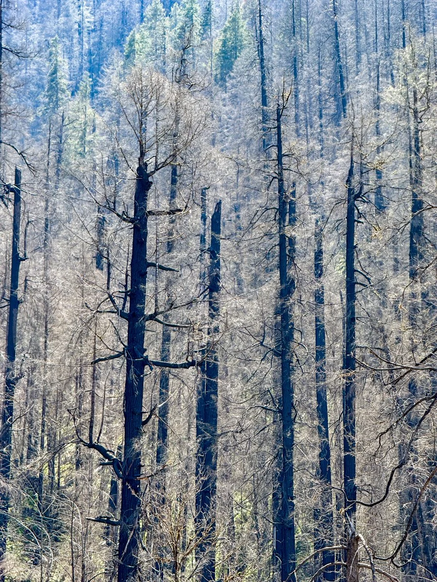 47. Fall Creek