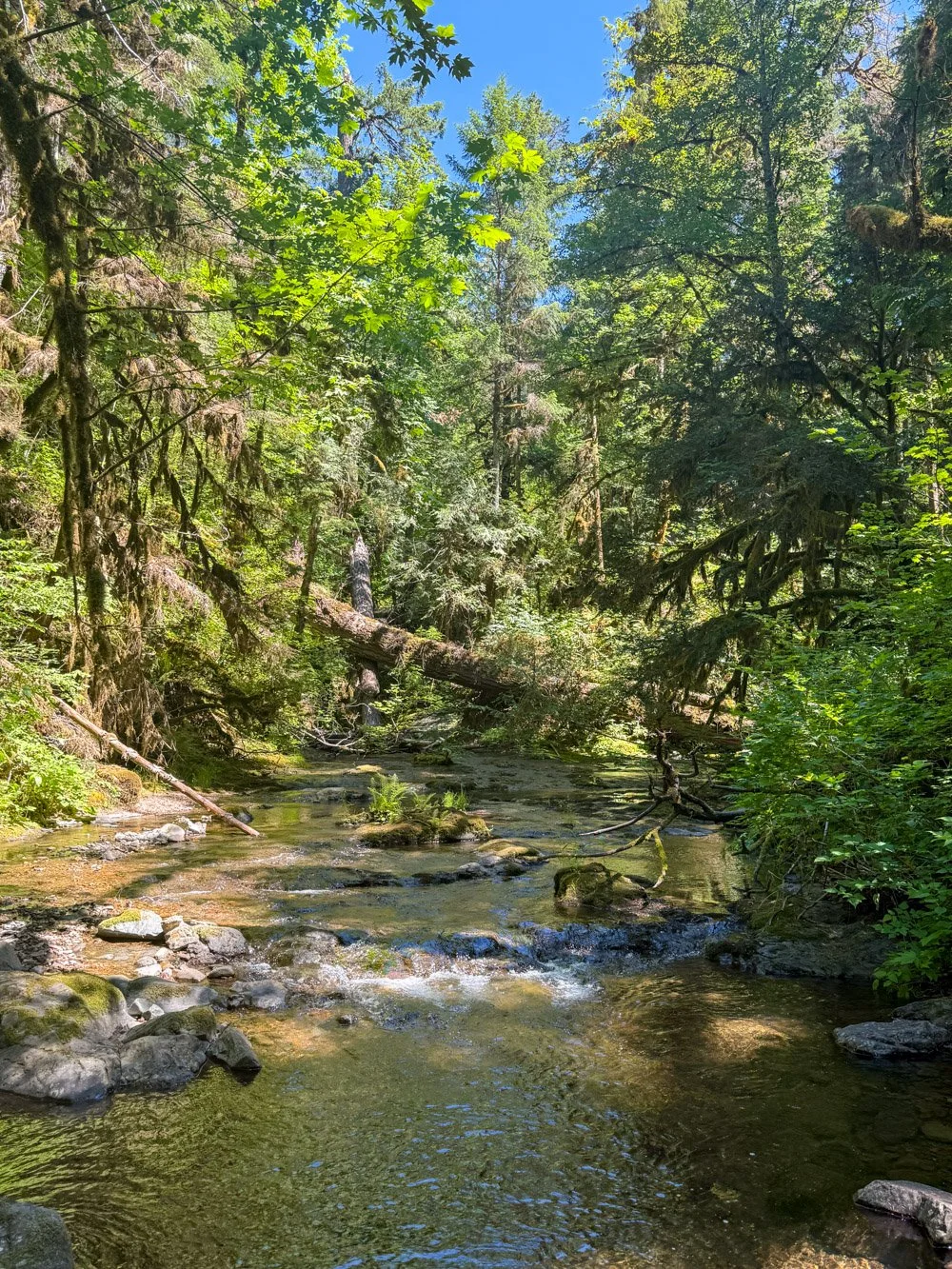 Goodman Creek