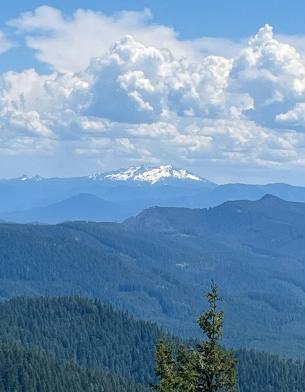 Diamond Peak from Mount June
