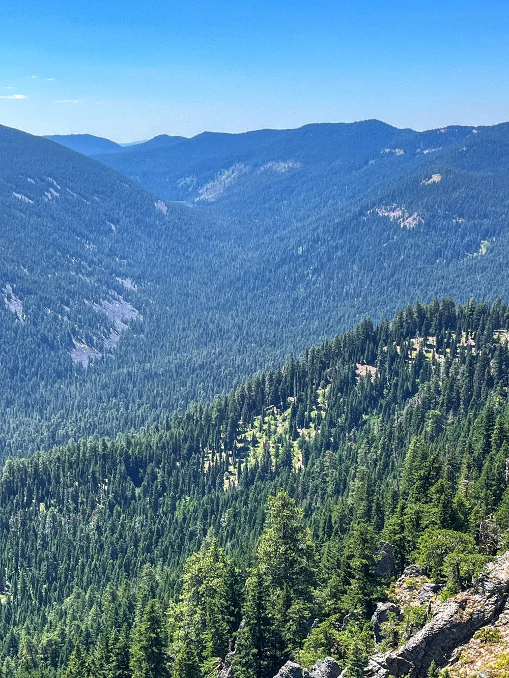 Upper Badger Creek Wilderness, pre-fire