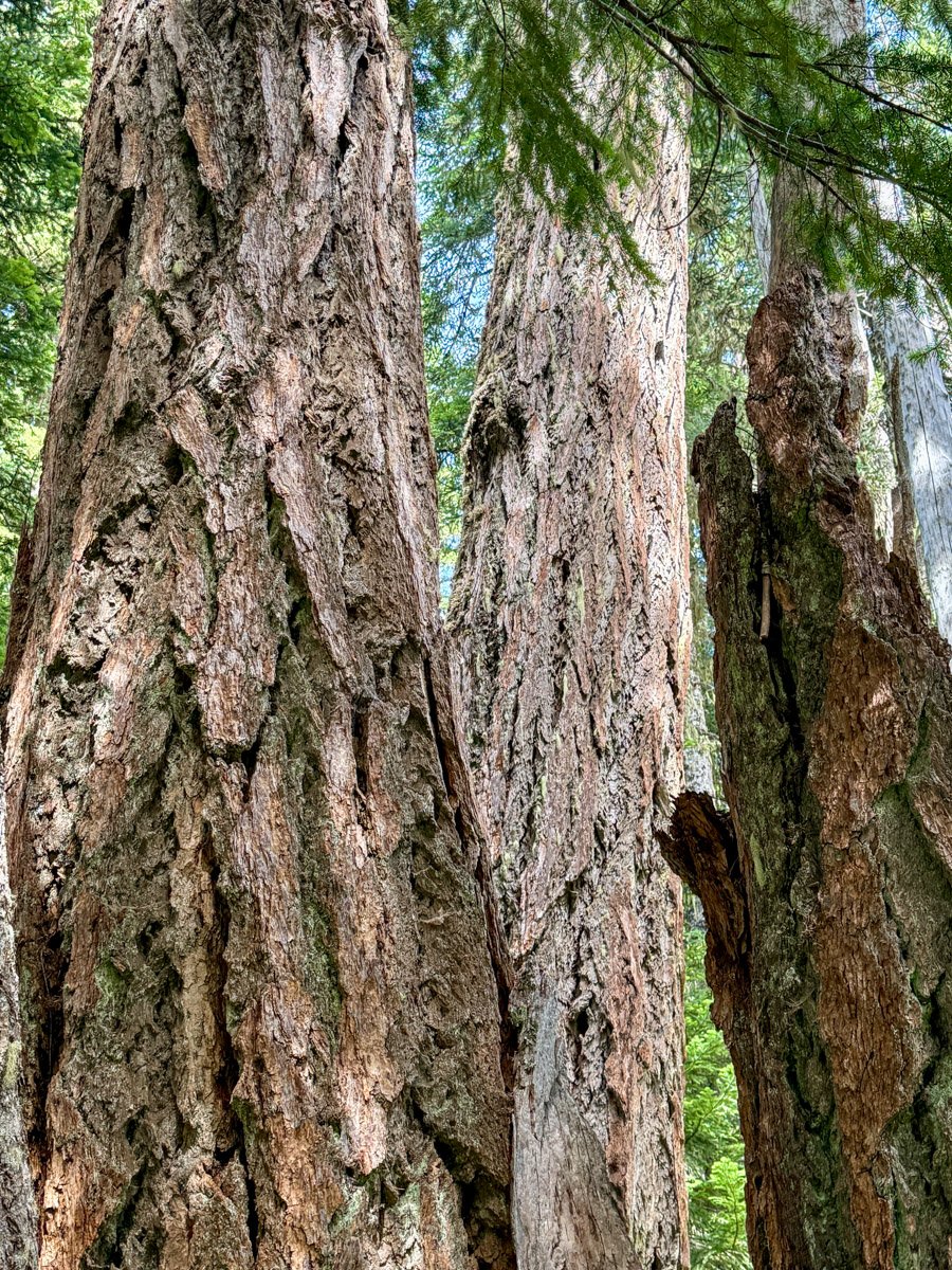 Boulder Lake 6832 Review.jpg