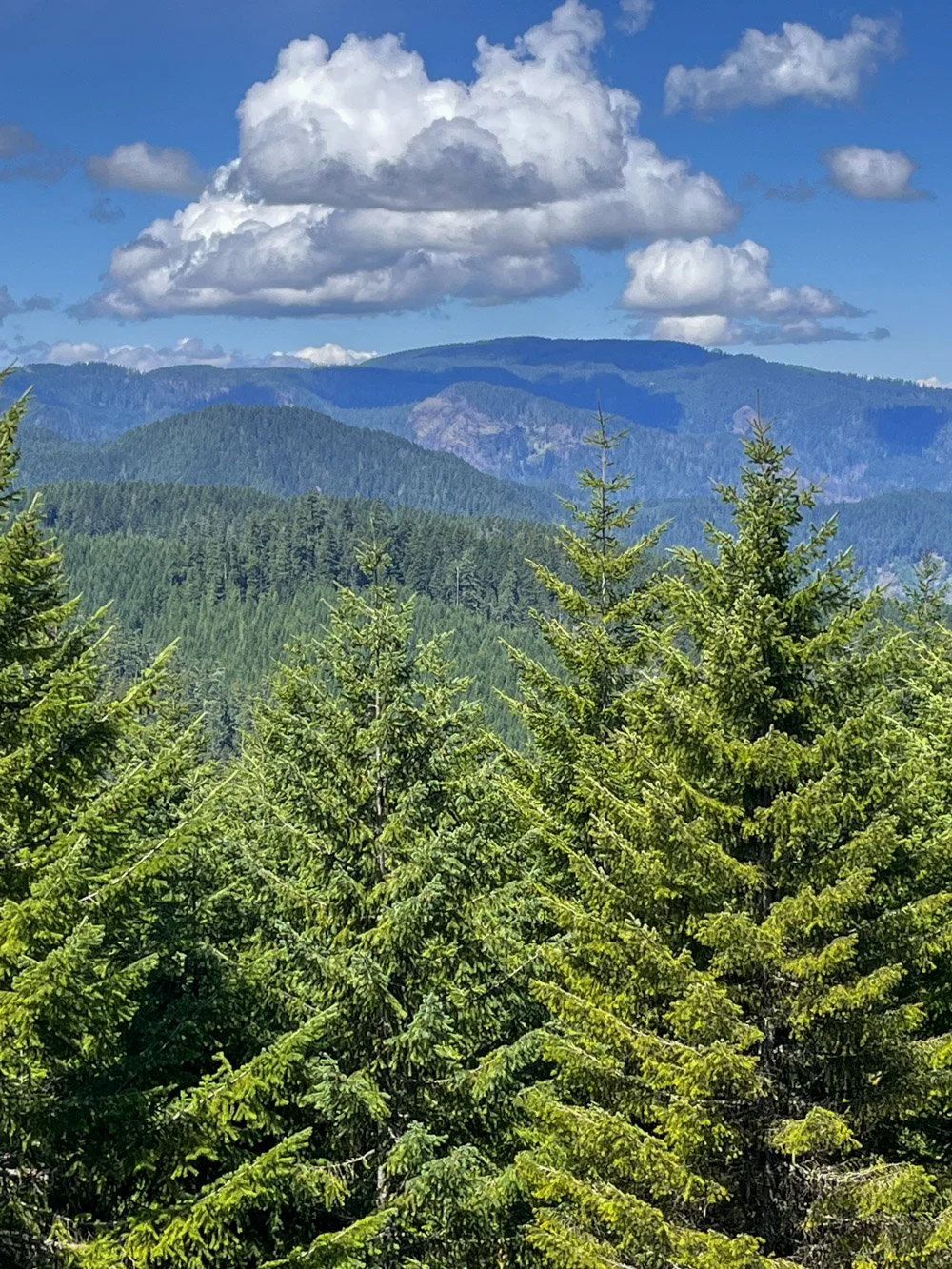 Patterson Mountain from Larison Rock