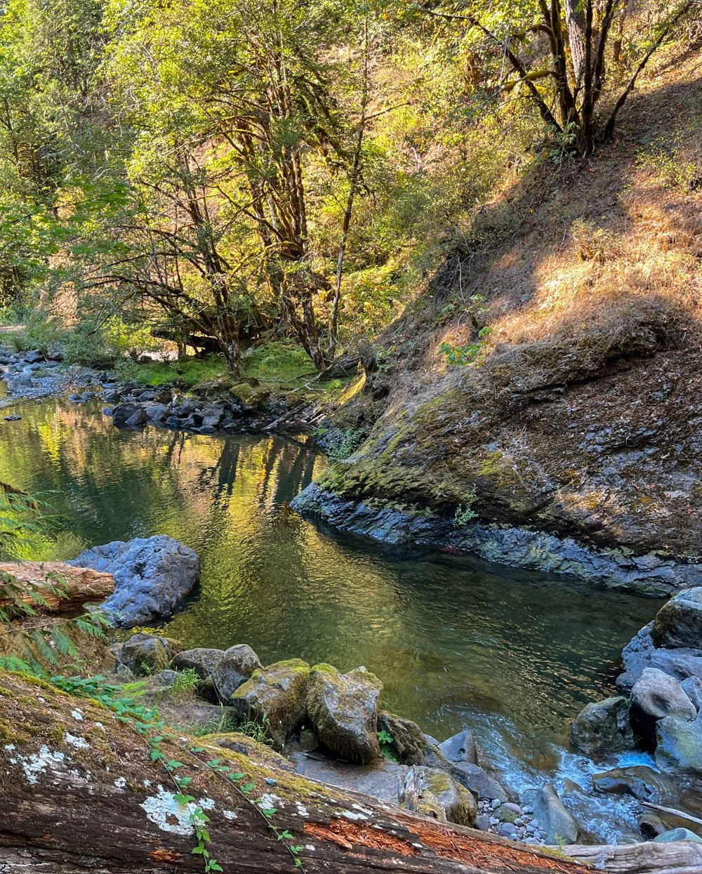 South Santiam River
