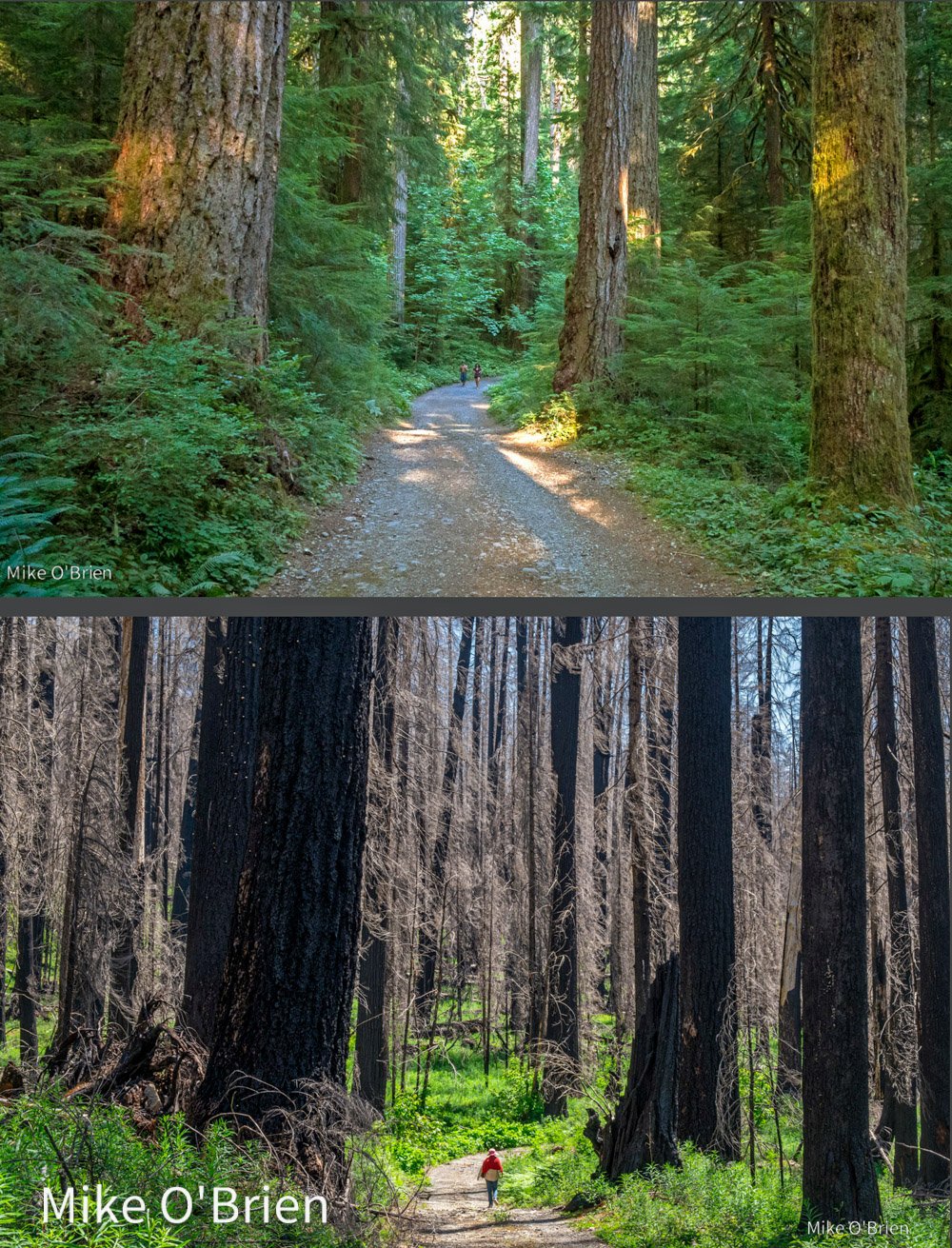 22. Opal Creek