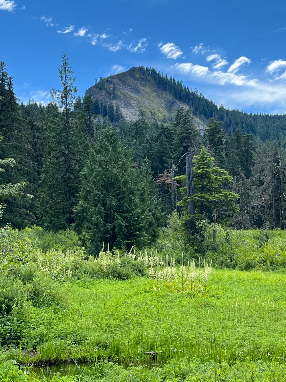 Sherrard Point