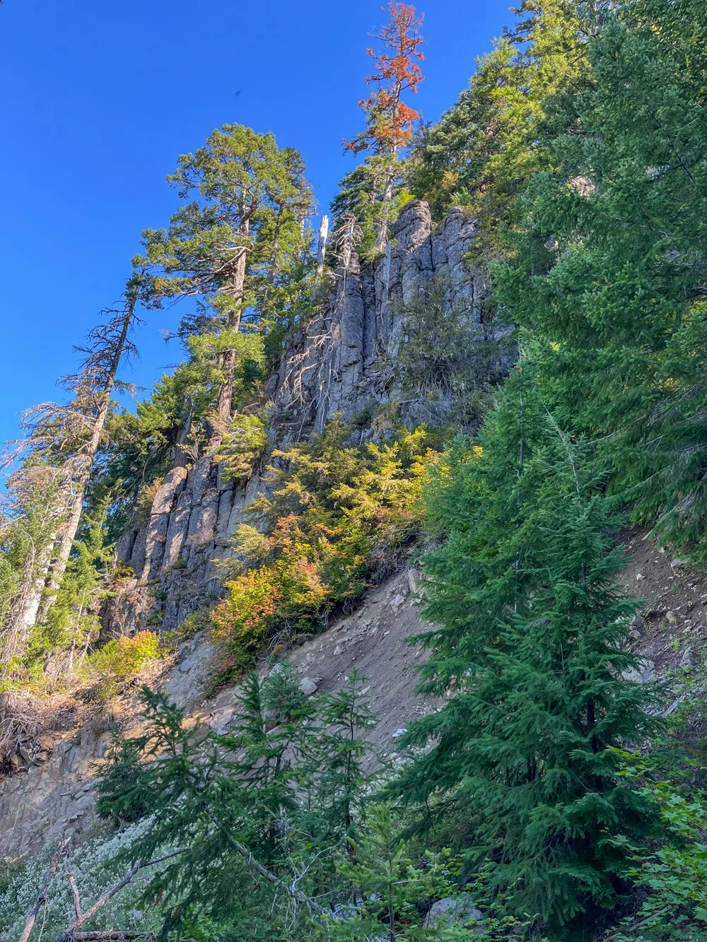 Cliffs rim the basin above the lake