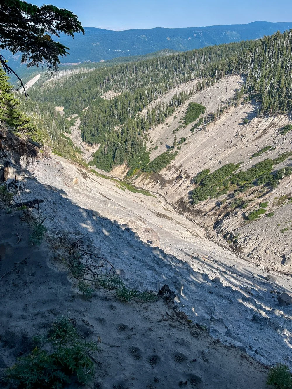 Lower portion Polallie Canyon landslide