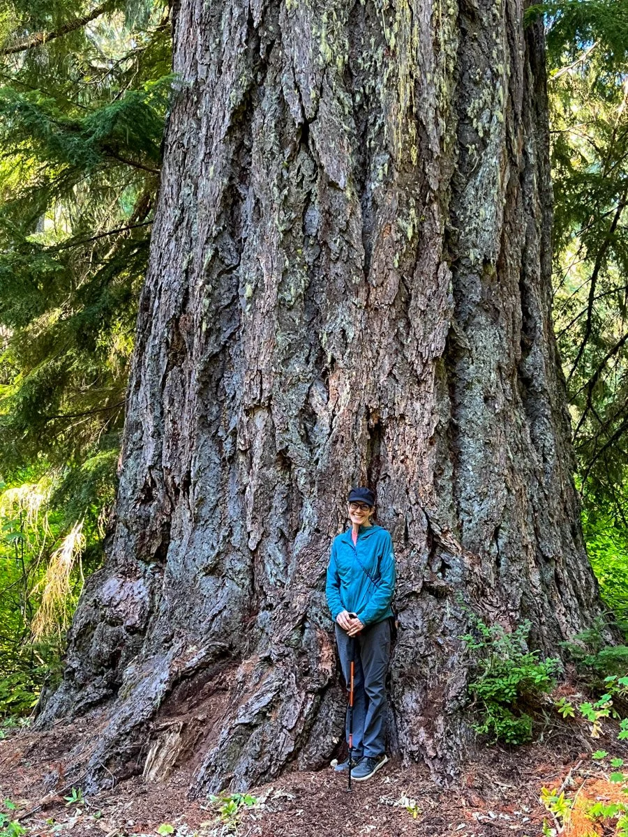 12 1/2 feet thick