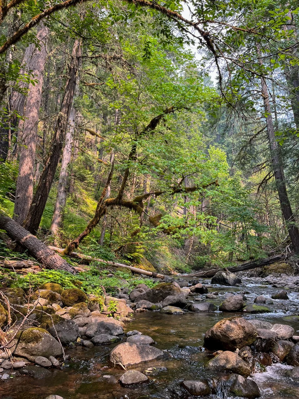 French Pete Creek on a smoky day