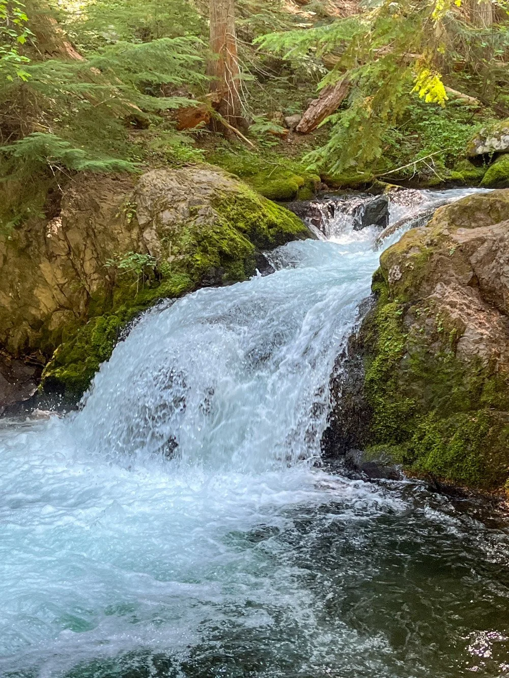 Cold Spring Creek