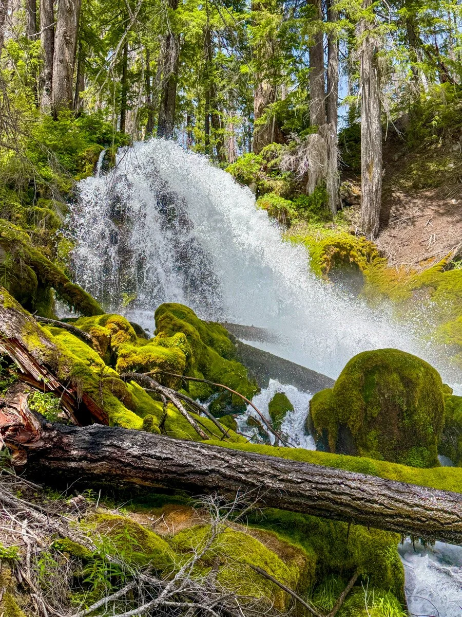 79. Rough Rider Falls