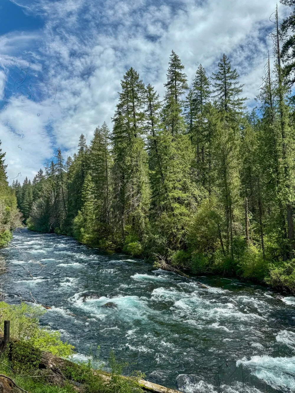 McKenzie RIver