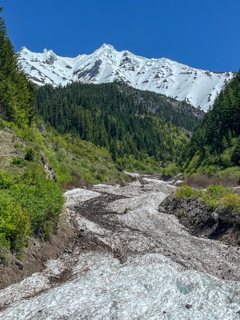Mt. Jefferson and Milk Creek (under the snow)