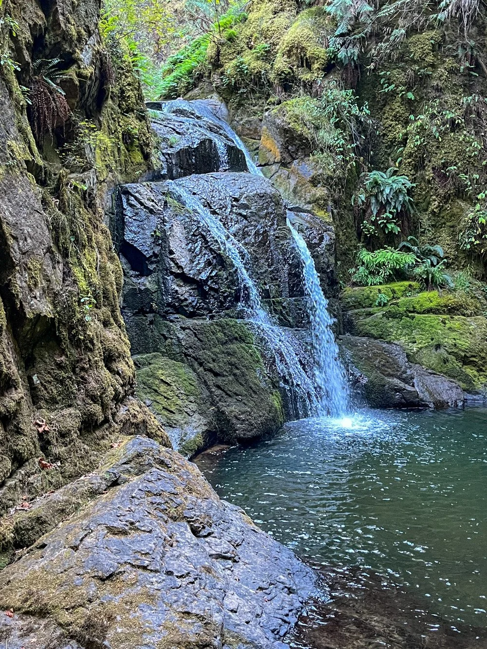 Lower Wolf Creek Falls