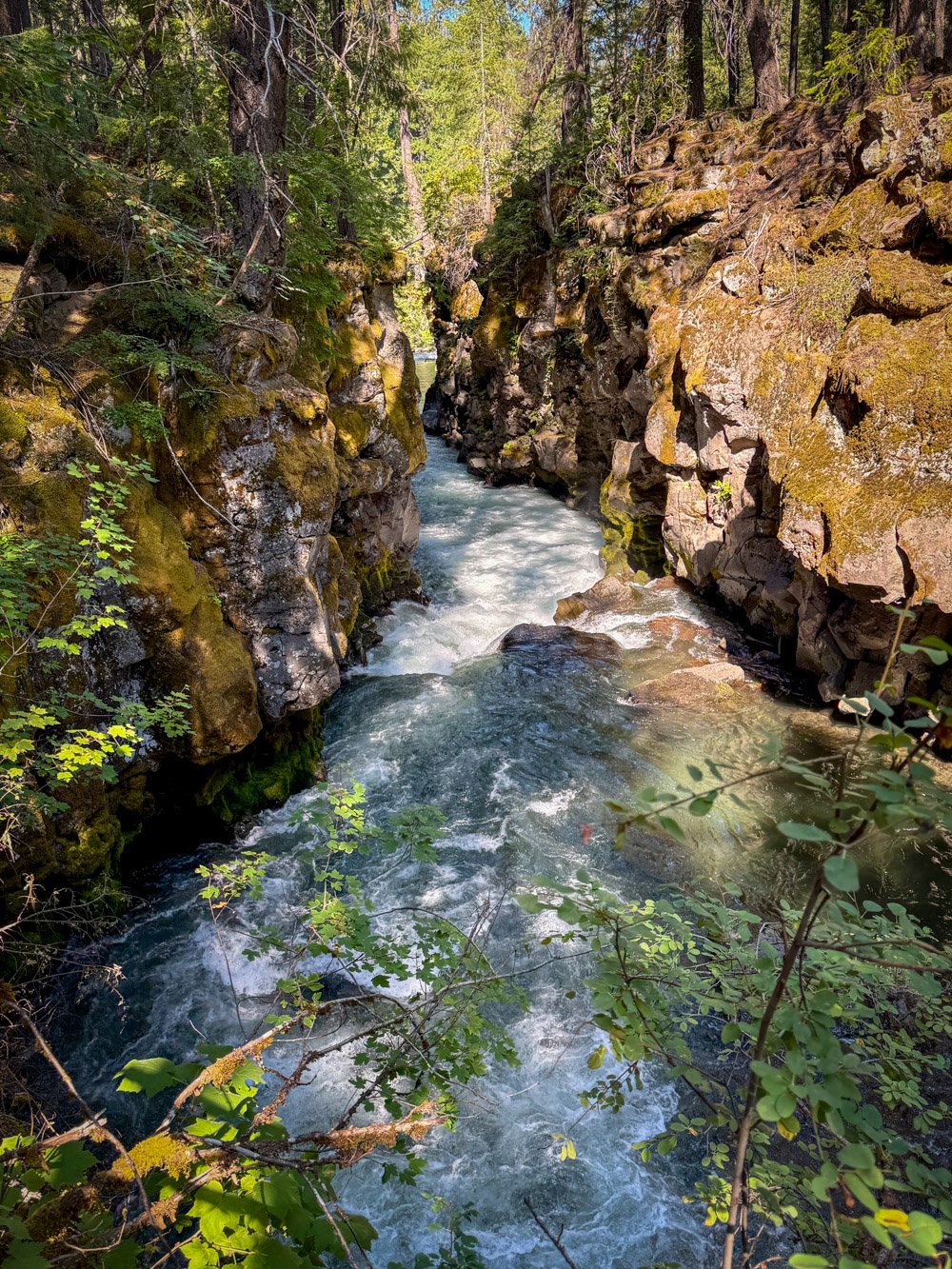 Rogue River Gorge