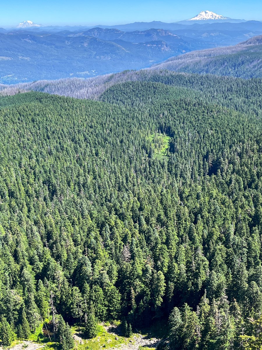 1. Larch Mountain
