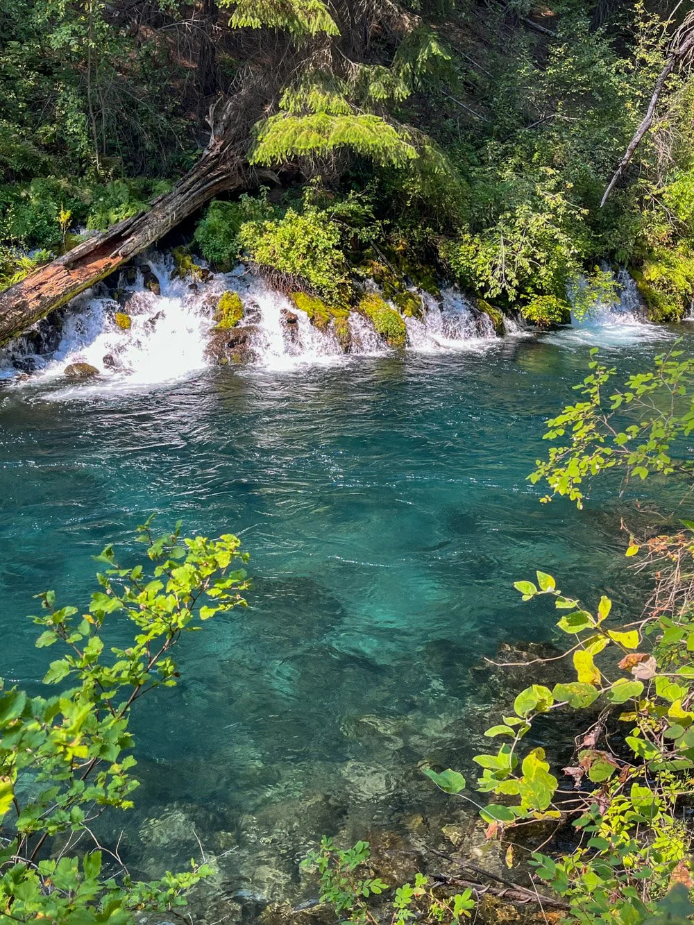 Metolius River Springs