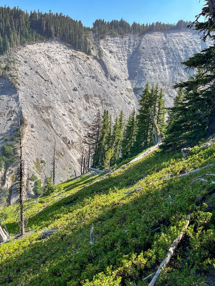 Upper portion Polallie Canyon landslide