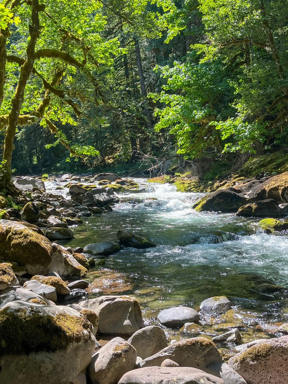 Salmon River
