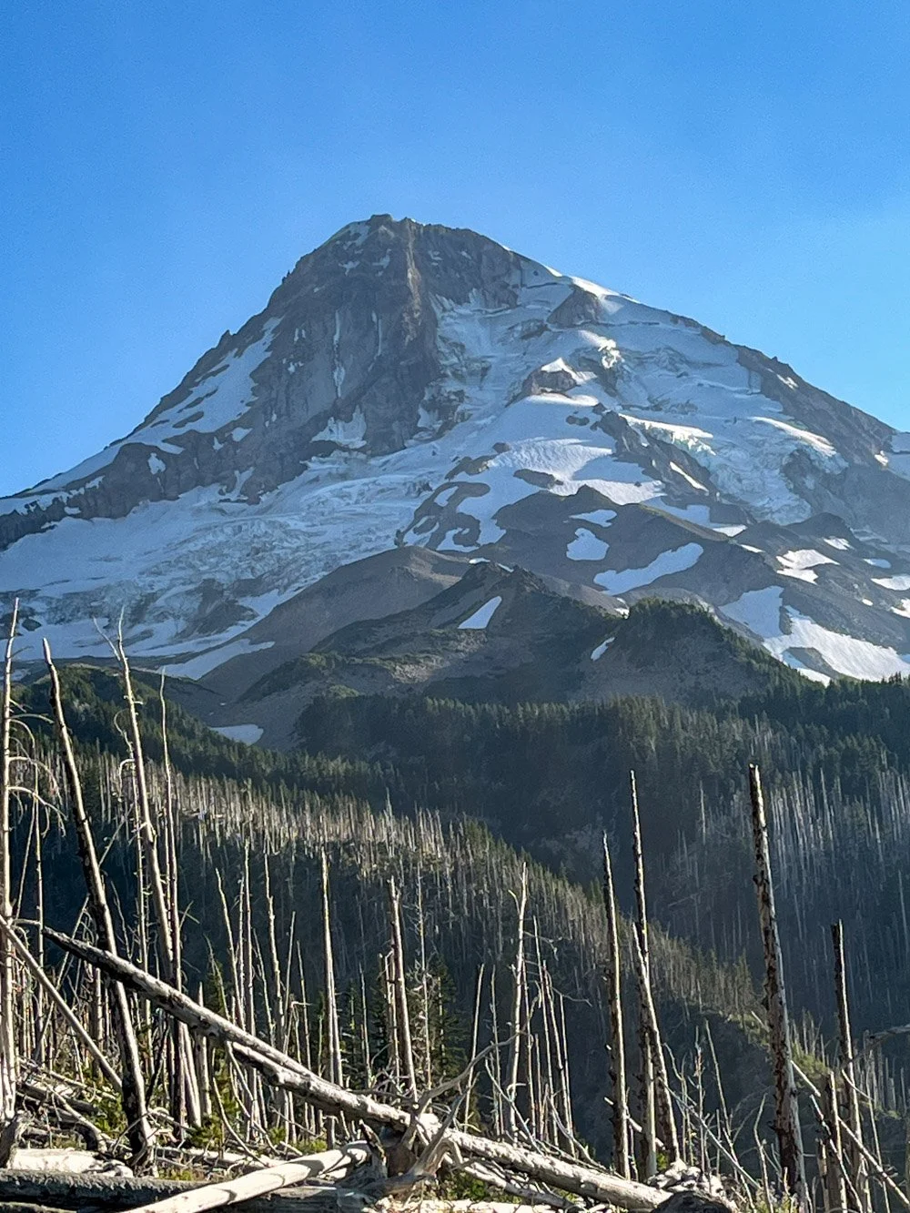 Mt. Hood over the Gnarl Ridge Fire (2008)