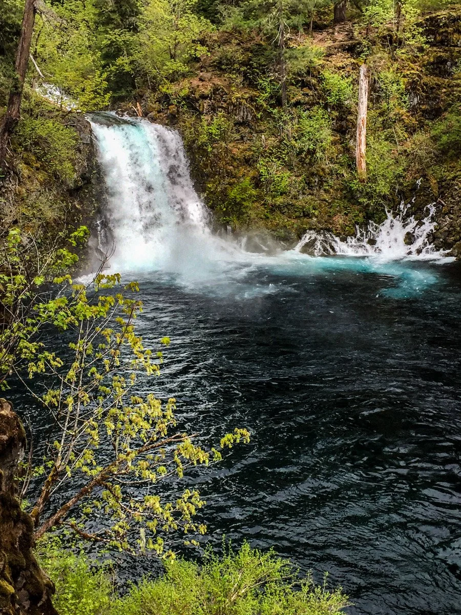 Tamolitch Falls 