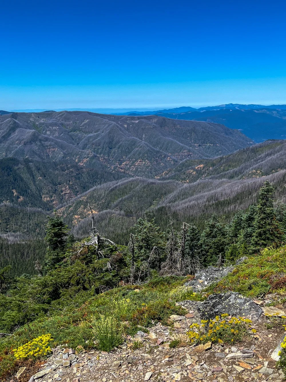Eagle Creek Fire (2017) from Chinidere Mountain